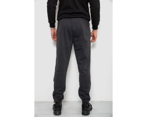 Спортивні штани чоловічі на флісі, колір сірий, 244R41526