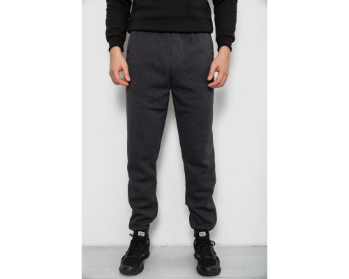 Спортивні штани чоловічі на флісі, колір сірий, 244R41526