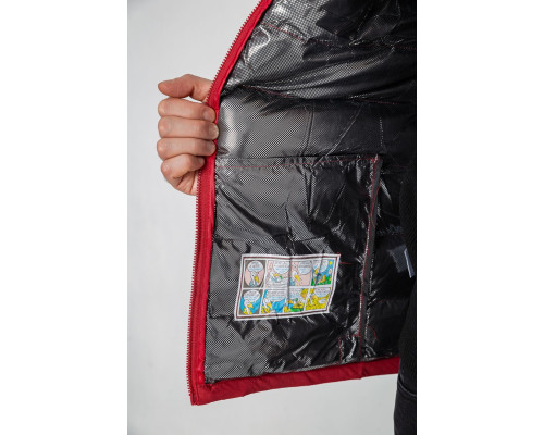 Жилетка чоловіча демісезонна, колір бордовий, 244RC666