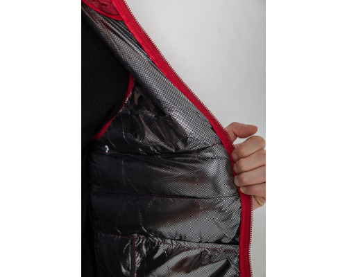 Жилетка чоловіча демісезонна, колір бордовий, 244RC666