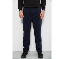 Спортивні штани чоловічі на флісі, колір синій, 244R41715