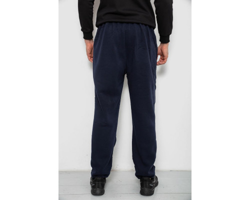 Спортивні штани чоловічі на флісі, колір синій, 244R41715