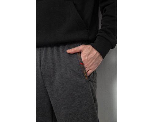 Спортивні штани чоловічі, колір сірий, 244R429