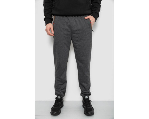 Спортивні штани чоловічі, колір сірий, 244R429