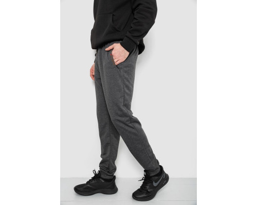 Спортивні штани чоловічі, колір сірий, 244R429