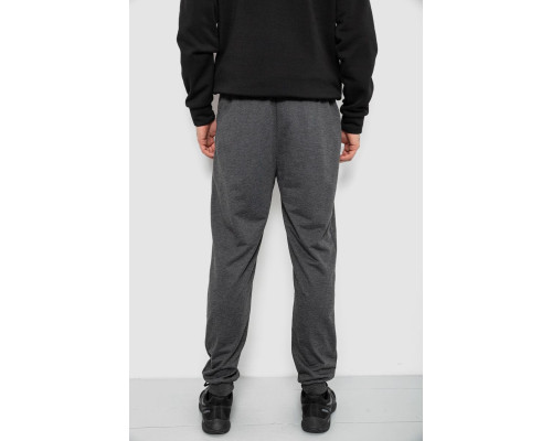Спортивні штани чоловічі, колір сірий, 244R429