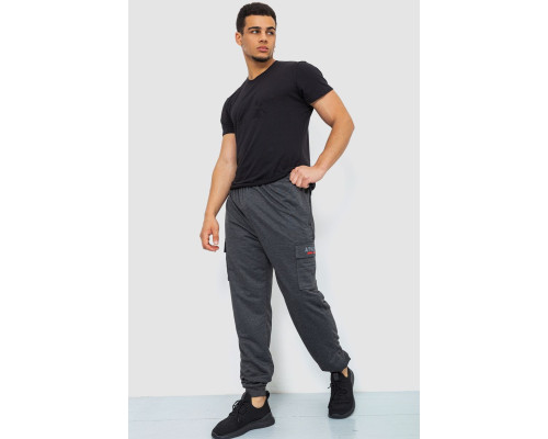 Спортивні штани чоловічі, колір темно-сірий, 244R41206