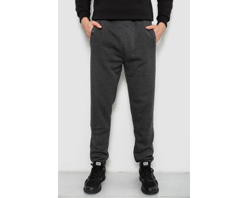 Спортивні штани чоловічі на флісі, колір сірий, 244R41553