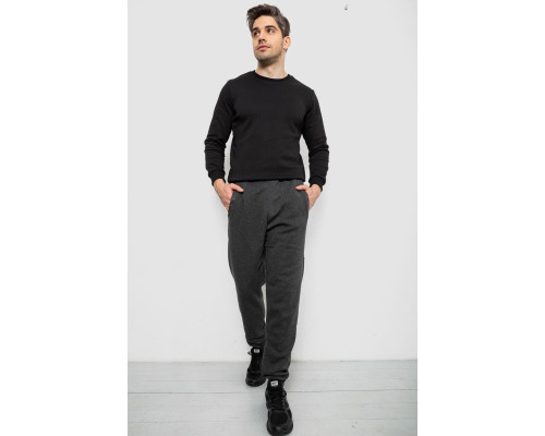 Спортивні штани чоловічі на флісі, колір сірий, 244R41553