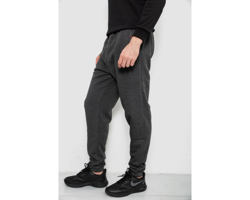 Спортивні штани чоловічі на флісі, колір сірий, 244R41553