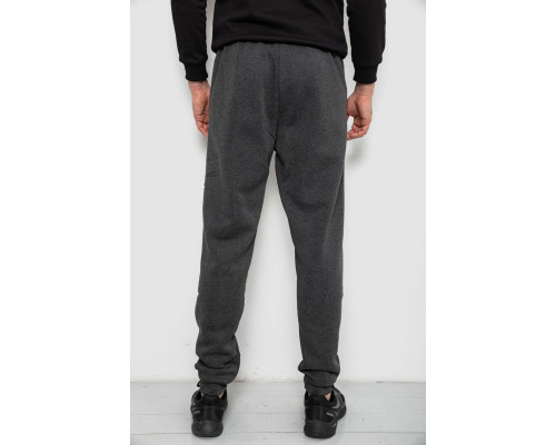 Спортивні штани чоловічі на флісі, колір сірий, 244R41553