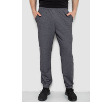 Спортивні штани чоловічі, колір темно-сірий, 238R122-1