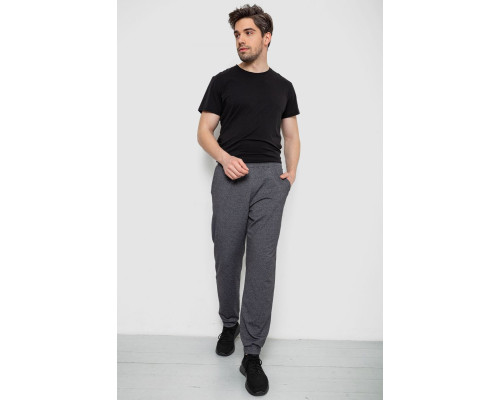 Спортивні штани чоловічі, колір темно-сірий, 238R122-1