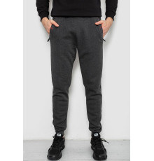 Спортивні штани чоловічі на флісі, колір сірий, 244R41558