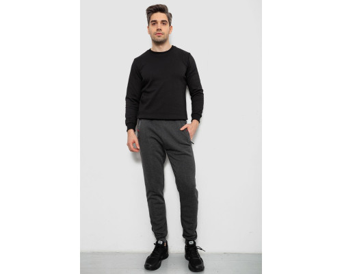 Спортивні штани чоловічі на флісі, колір сірий, 244R41558