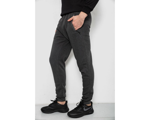 Спортивні штани чоловічі на флісі, колір сірий, 244R41558