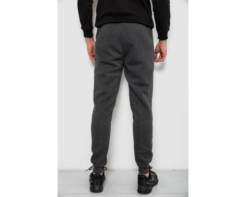 Спортивні штани чоловічі на флісі, колір сірий, 244R41558
