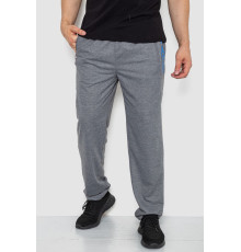 Спортивні штани чоловічі, колір сірий, 244R4932