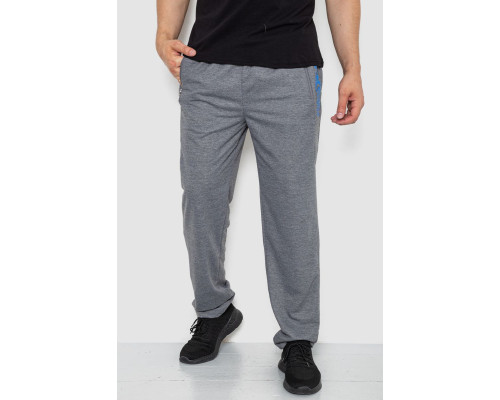 Спортивні штани чоловічі, колір сірий, 244R4932