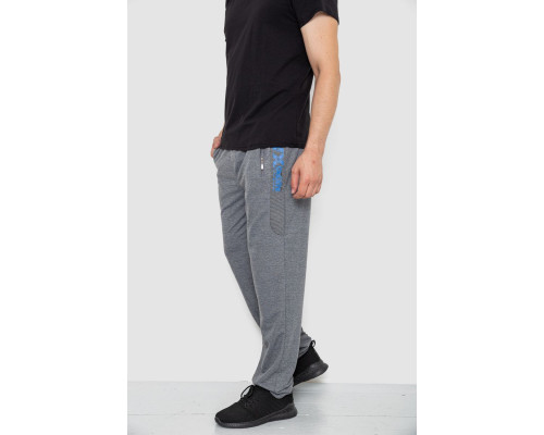 Спортивні штани чоловічі, колір сірий, 244R4932