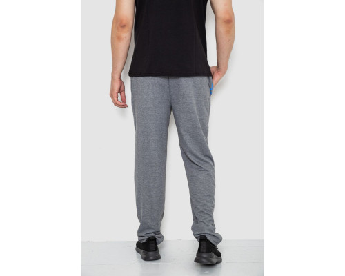 Спортивні штани чоловічі, колір сірий, 244R4932