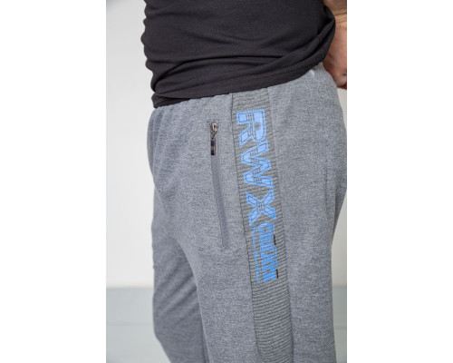 Спортивні штани чоловічі, колір сірий, 244R4932