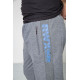 Спортивні штани чоловічі, колір сірий, 244R4932