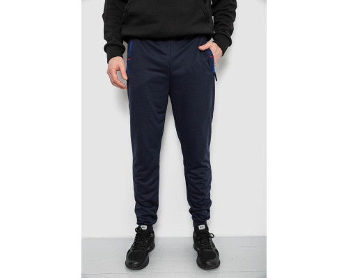 Спортивні штани чоловічі, колір синій, 244R429