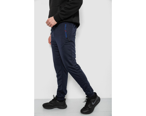 Спортивні штани чоловічі, колір синій, 244R429