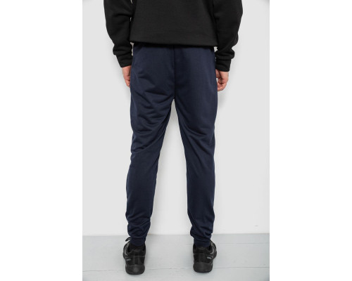Спортивні штани чоловічі, колір синій, 244R429