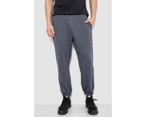 Спортивні штани чоловічі демісезонні, колір сірий, 241R001-1