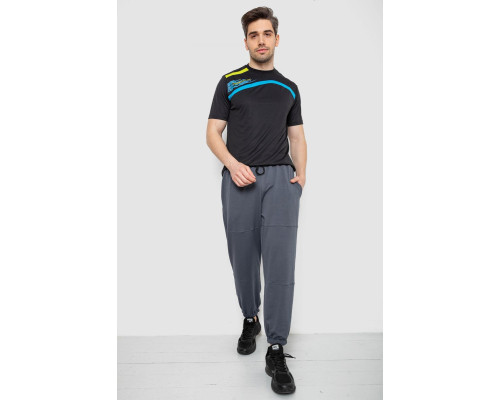 Спортивні штани чоловічі демісезонні, колір сірий, 241R001-1