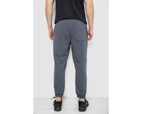 Спортивні штани чоловічі демісезонні, колір сірий, 241R001-1