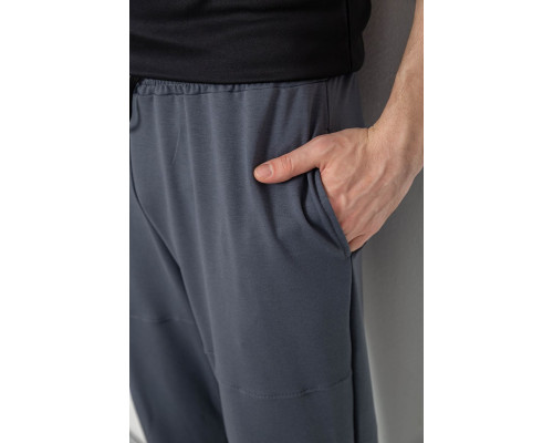 Спортивні штани чоловічі демісезонні, колір сірий, 241R001-1