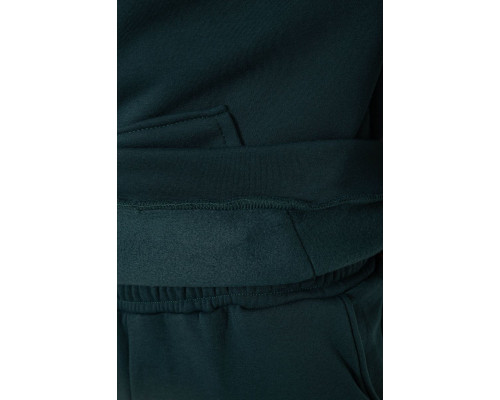 Спортивний костюм чоловічий на флісі, колір зелений, 238R029