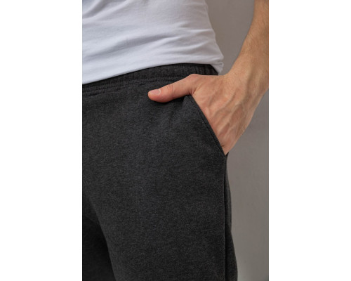 Спортивні чоловічі штани на флісі, колір темно-сірий, 238R56910-5