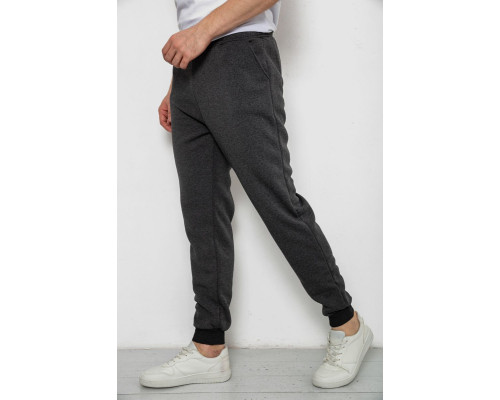 Спортивні чоловічі штани на флісі, колір темно-сірий, 238R56910-5
