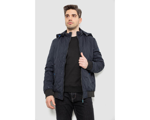 Куртка чоловіча демісезонна з капюшоном, колір синій, 244RL-9882AL