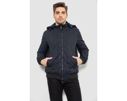 Куртка чоловіча демісезонна з капюшоном, колір синій, 244RL-9882AL