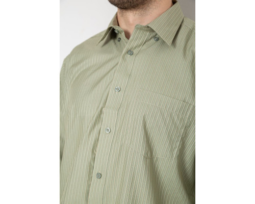 Сорочка чоловіча класична, колір оливковий, 244R332