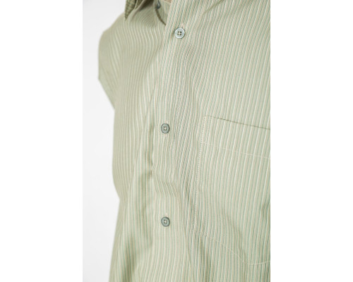 Сорочка чоловіча класична, колір оливковий, 244R332