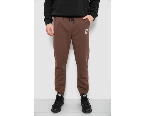 Спортивні штани чоловічі на флісі, колір коричневий, 129RA9995
