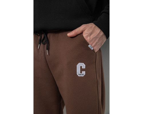 Спортивні штани чоловічі на флісі, колір коричневий, 129RA9995