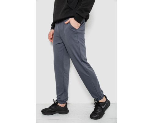 Спортивні штани чоловічі двонитка, колір сірий, 241R8003