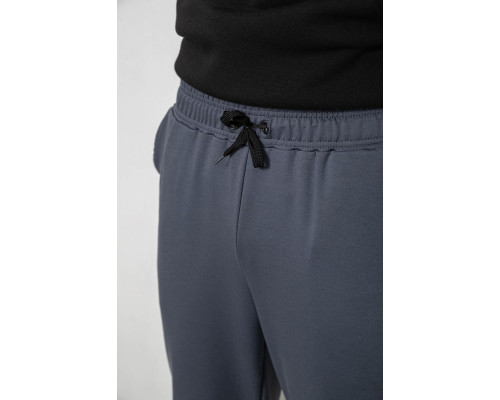 Спортивні штани чоловічі двонитка, колір сірий, 241R8003