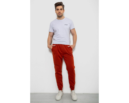 Спортивні штани чоловічі на флісі, колір теракотовий, 238R57256