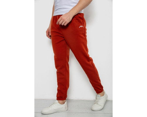 Спортивні штани чоловічі на флісі, колір теракотовий, 238R57256