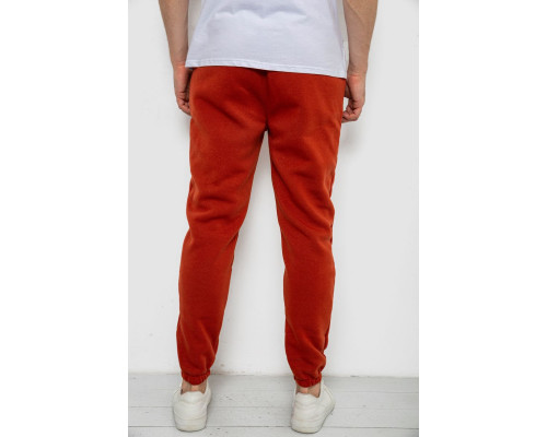 Спортивні штани чоловічі на флісі, колір теракотовий, 238R57256