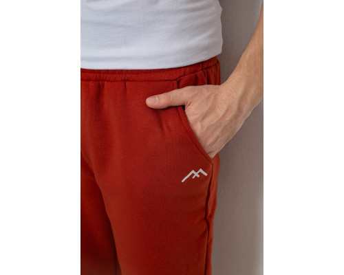 Спортивні штани чоловічі на флісі, колір теракотовий, 238R57256