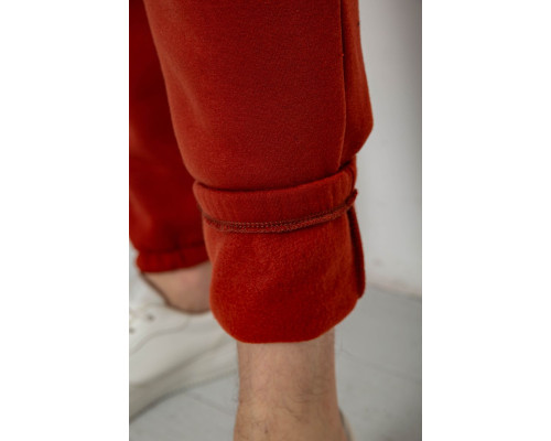 Спортивні штани чоловічі на флісі, колір теракотовий, 238R57256